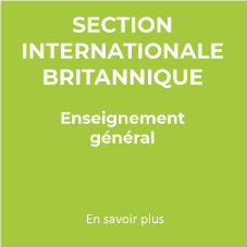 section internationale britaninque