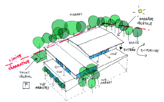 CROQUIS GYM