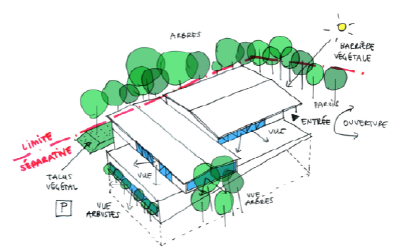 croquis gymnase