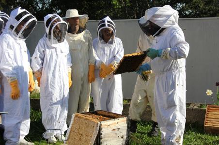 apiculture versailles