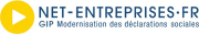 logo net entreprise.png