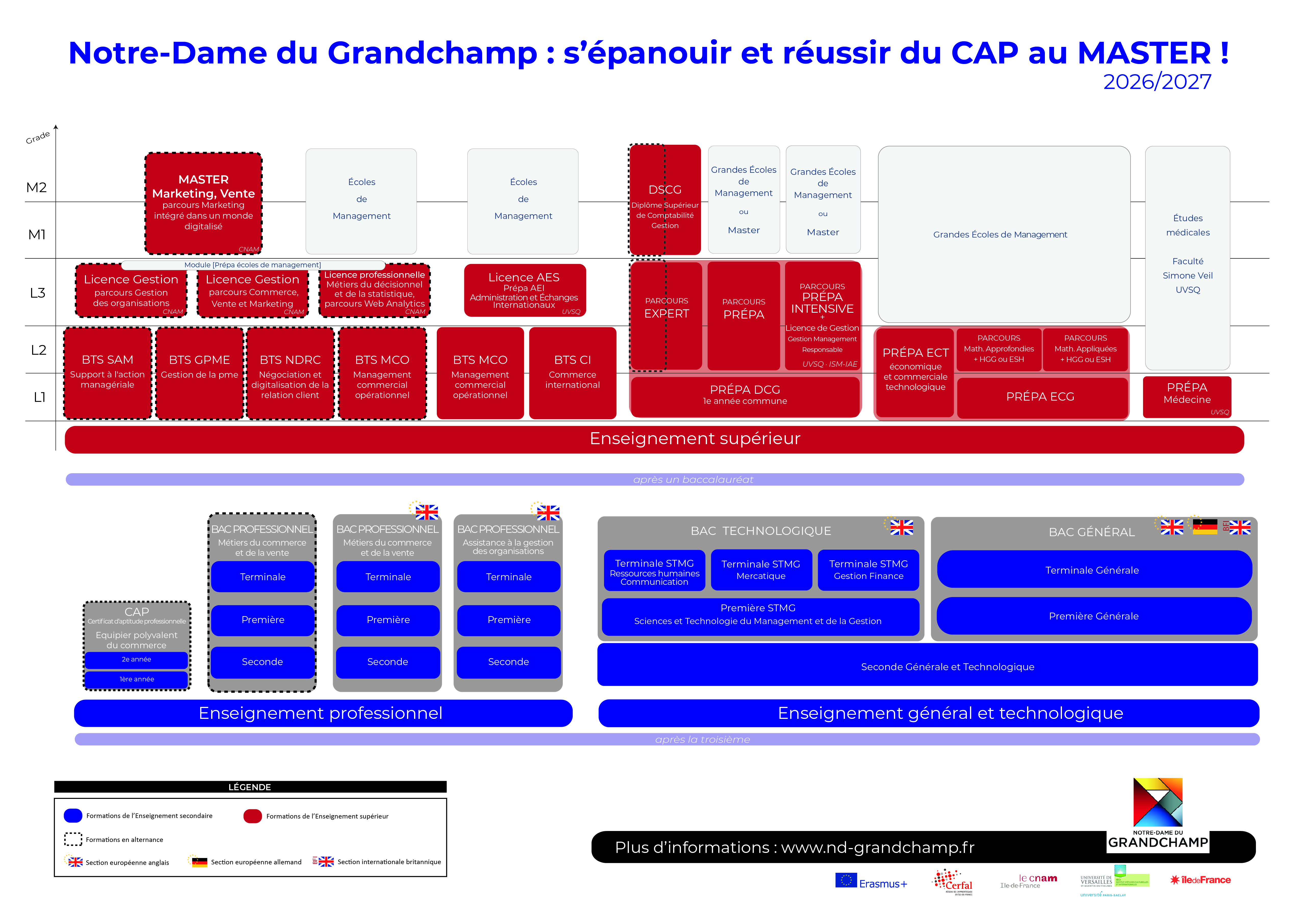 organigramme formation