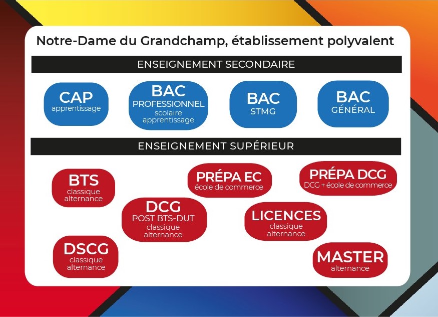 Schéma des formations