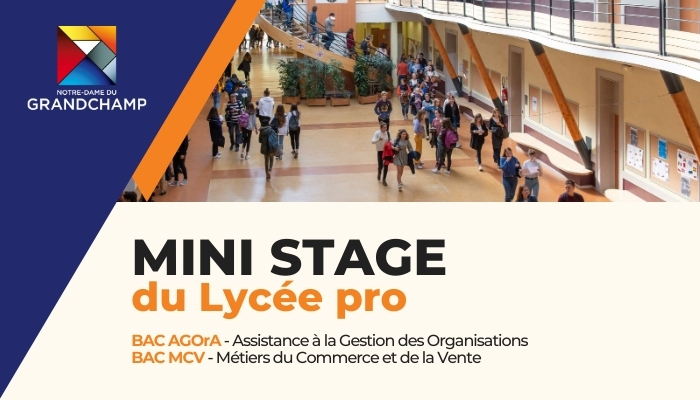 Lycee pro mini stage 2026