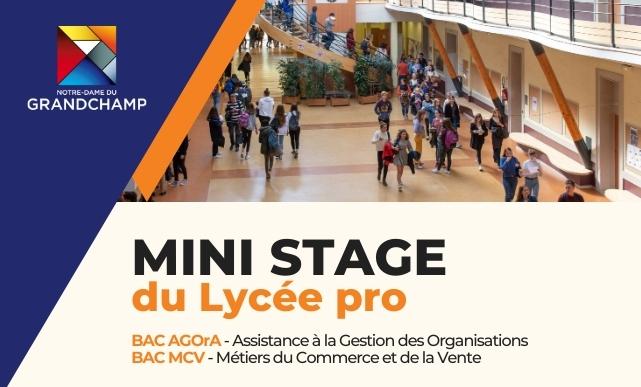 Lycee pro mini stage 2026