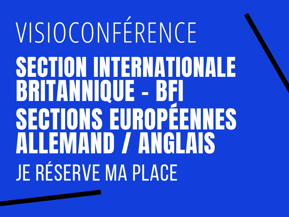 Visio conf Section internationale Britannique et Sections euros 2023